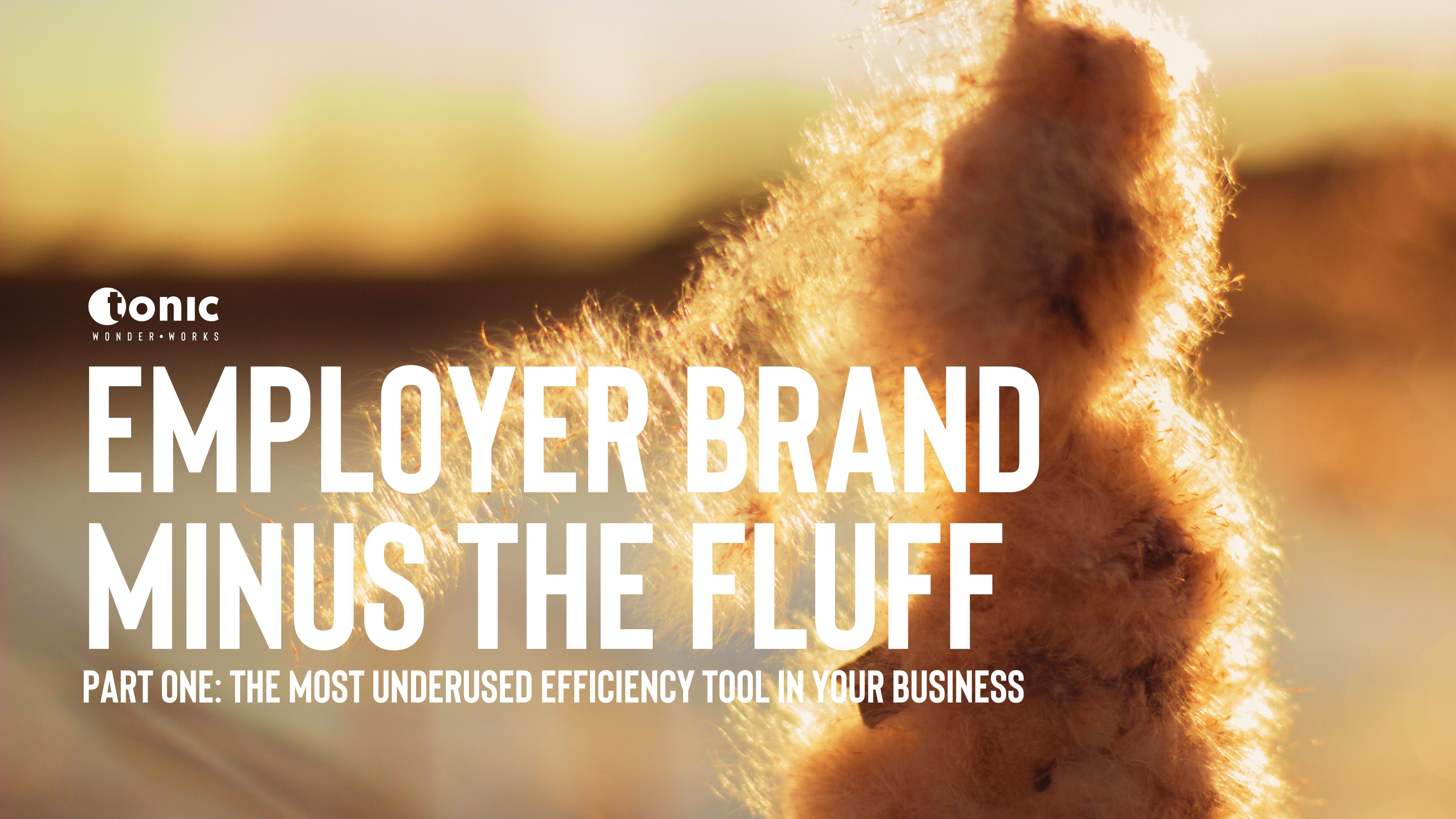 Some fluff. Not employer branding.